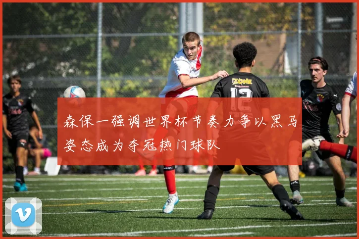 森保一强调世界杯节奏力争以黑马姿态成为夺冠热门球队